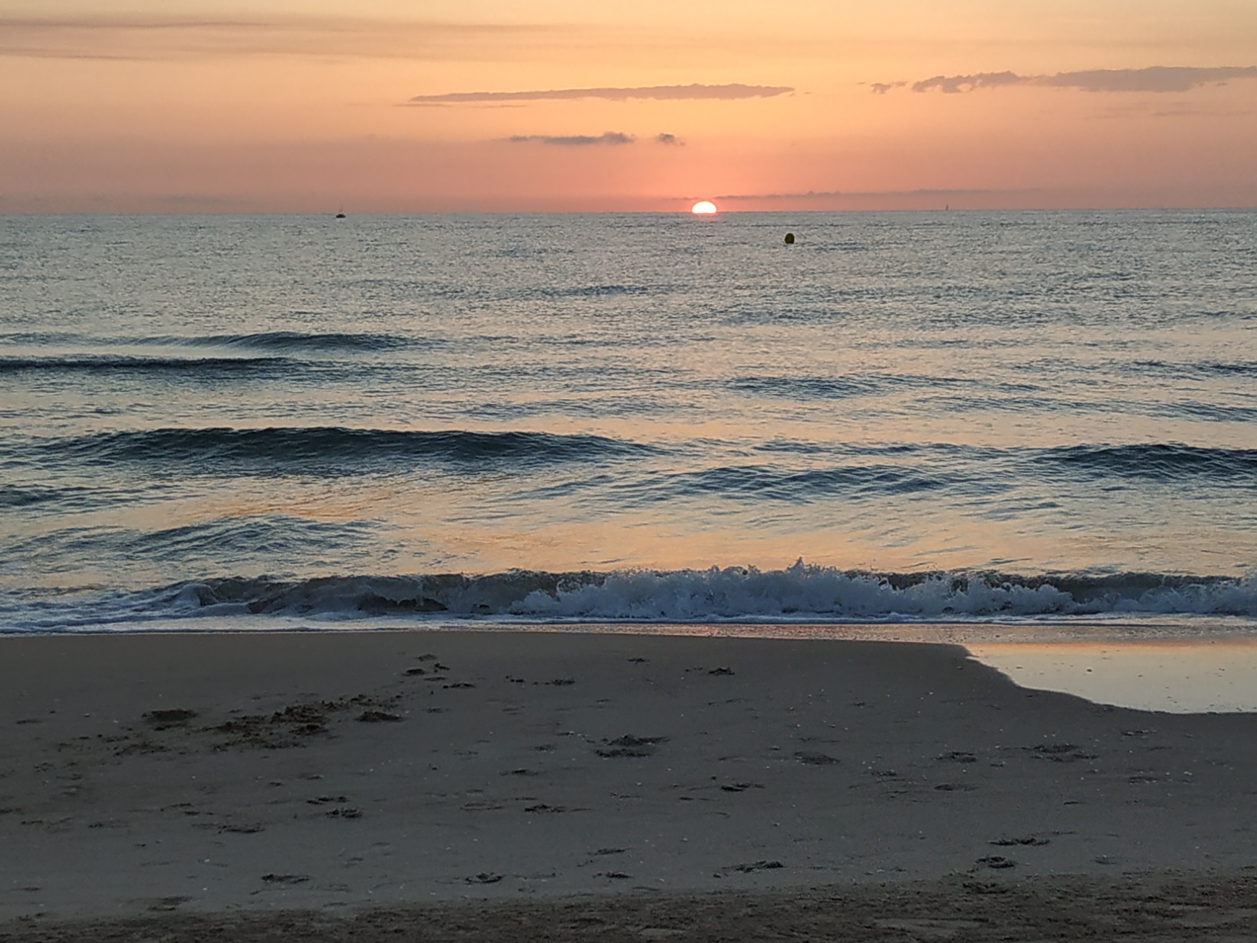 una puesta de sol en una playa mirando al mar con un cielo completamente despejado