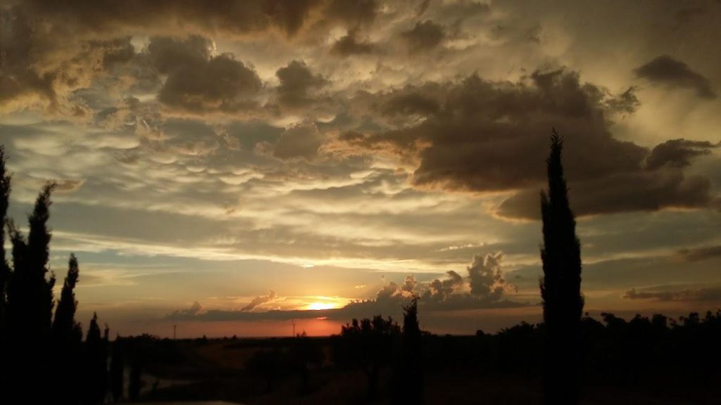 Una puesta de sol bajo un cielo nublado entre unos cipreses.